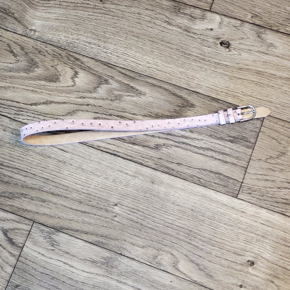 Banana Republic Light Pink Belt